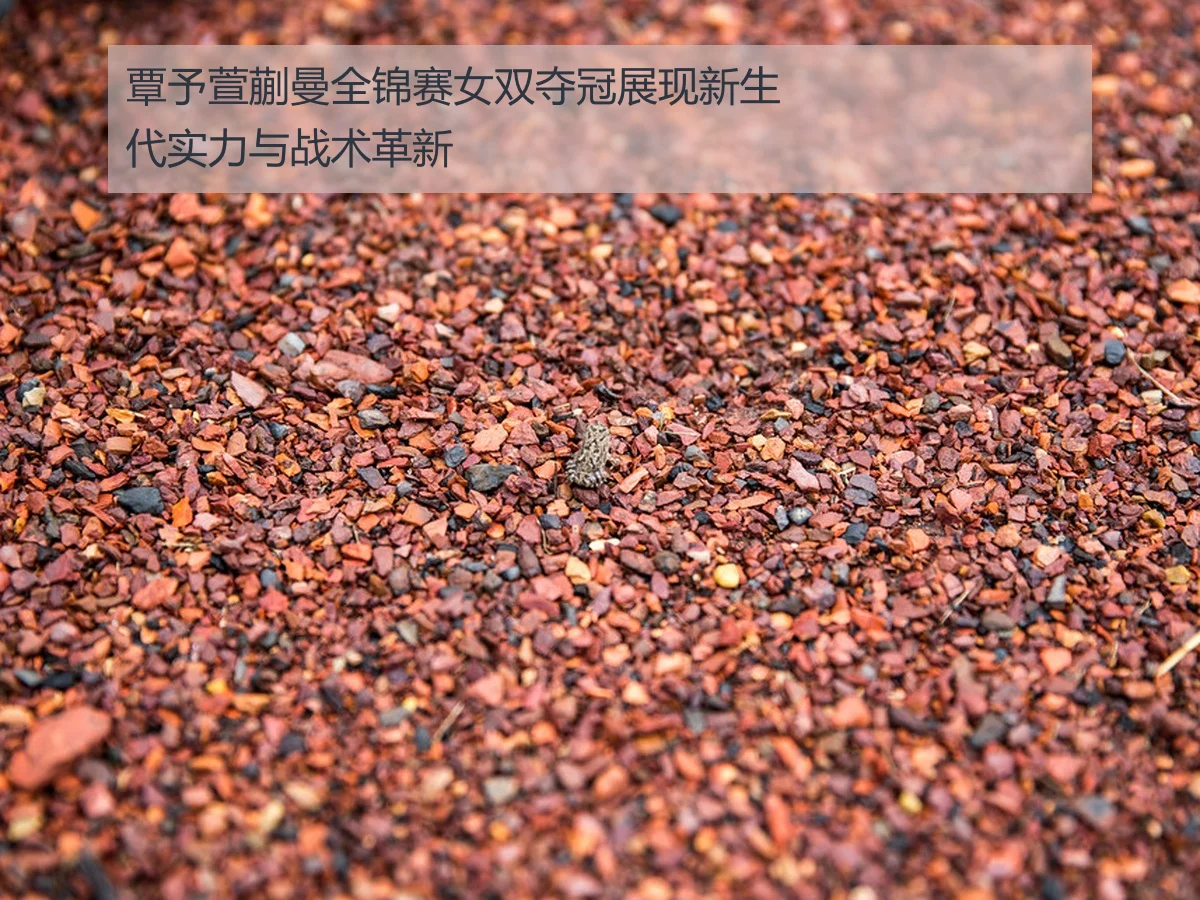 覃予萱蒯曼全锦赛女双夺冠展现新生代实力与战术革新